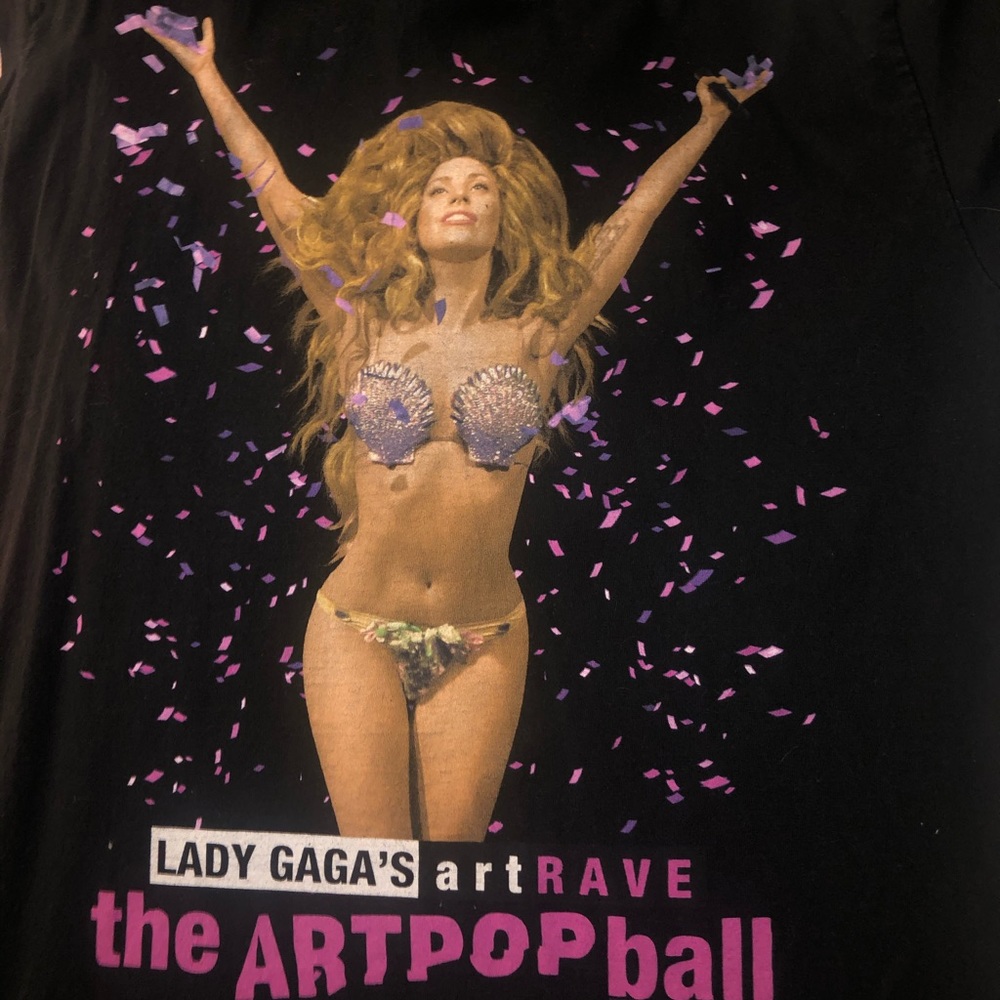 Lady Gaga Artpop Concert